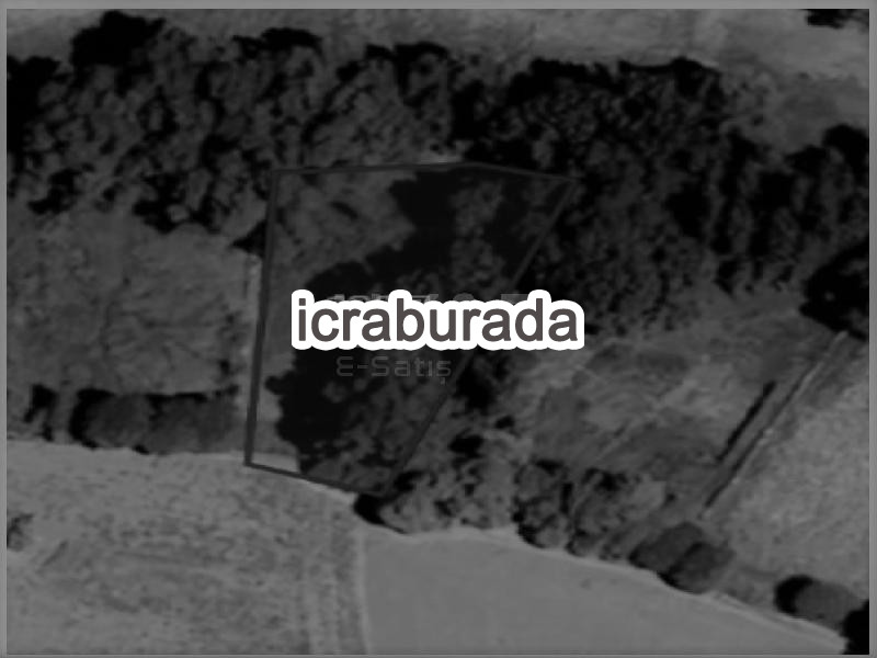 icralık  m2 Tarla Aksaray Merkez Tatlica