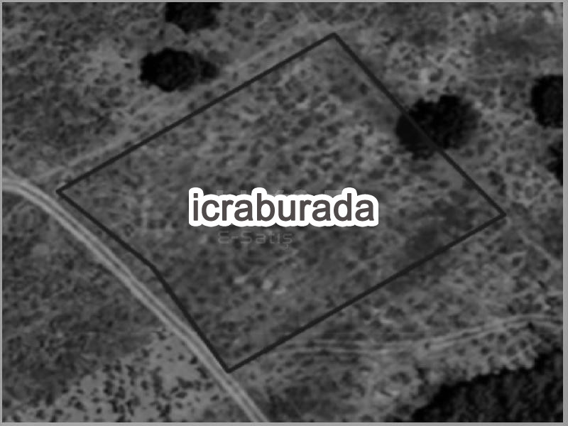 icralık  m2 Tarla Aksaray Merkez Tatlica