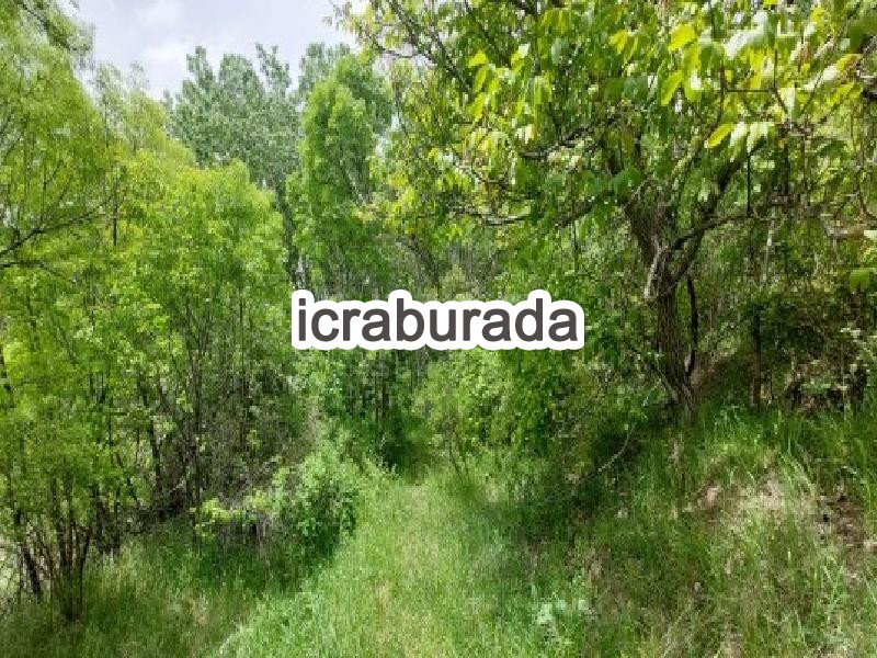 icralık  m2 Bag Erzincan Üzümlü Karakaya