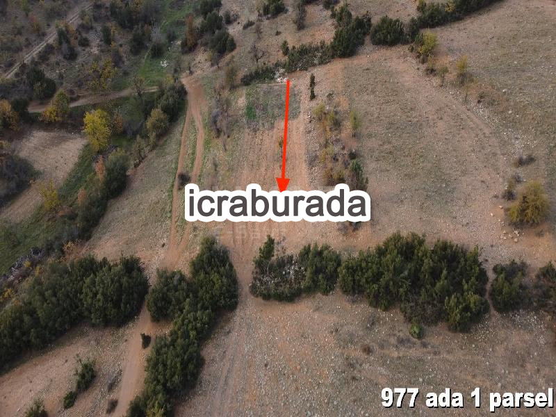 icralık  m2 Arsa Denizli Acıpayam Çamlik