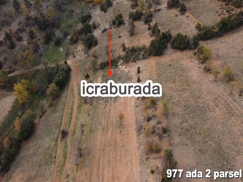 icralık  m2 Arsa Denizli Acıpayam Çamlik