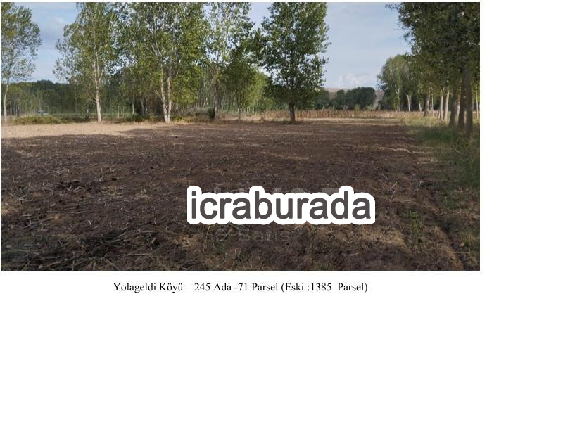 icralık  m2 Tarla Edirne Havsa Yolageldi