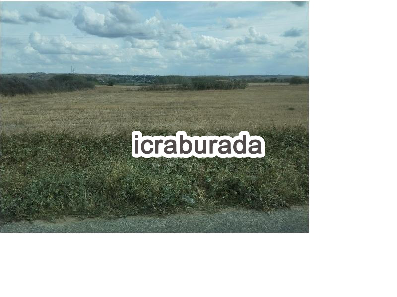 icralık  m2 Tarla Edirne Havsa Yolageldi