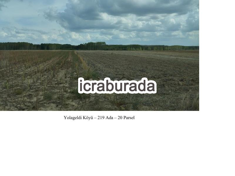 icralık  m2 Tarla Edirne Havsa Yolageldi