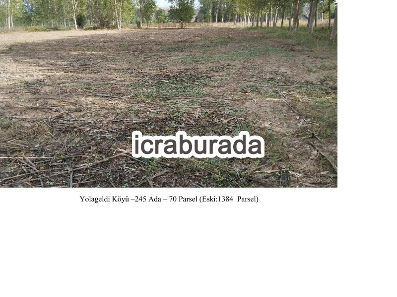 icralık  m2 Tarla Edirne Havsa Yolageldi
