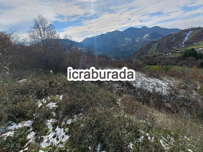 icralık  m2 Tarla Bursa Gemlik Hamidiye