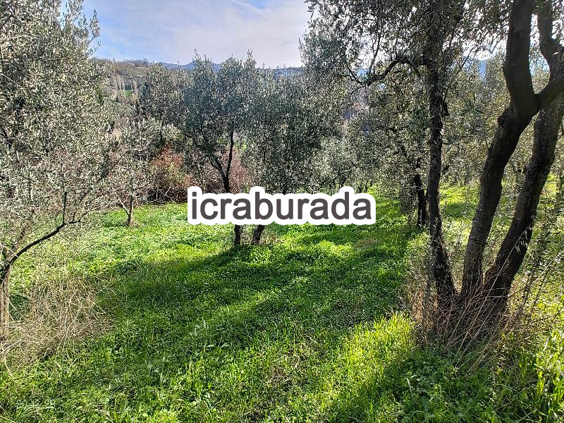icralık  m2 Tarla Bursa Gemlik Hamidiye