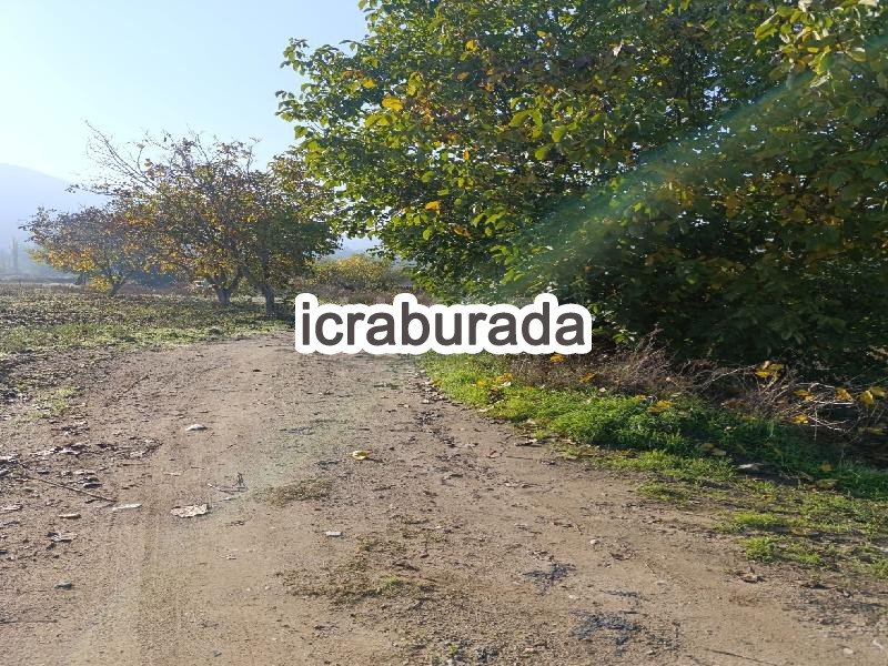 icralık  m2 Tarla Bilecik Osmaneli Belenalan