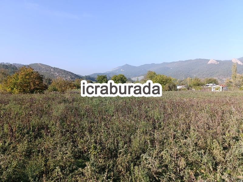 icralık  m2 Tarla Bilecik Osmaneli Belenalan