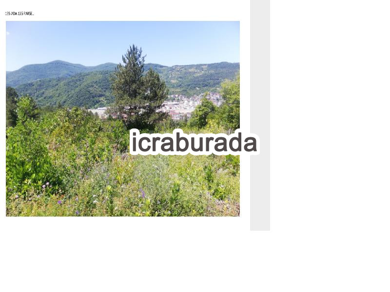 icralık  m2 Tarla Sinop Ayancık Cevizli