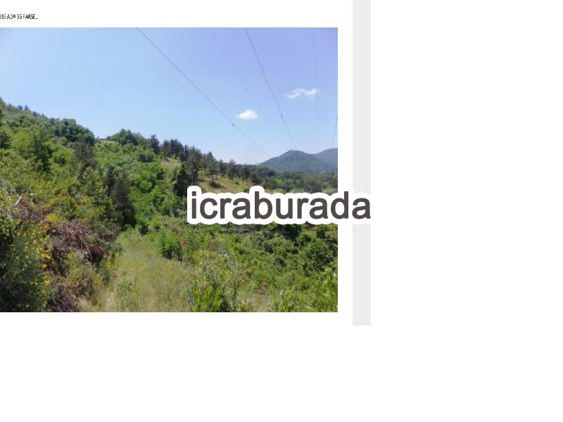 icralık  m2 Tarla Sinop Ayancık Cevizli
