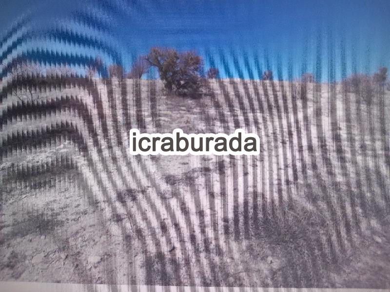 icralık  m2 Tarla Konya Seydişehir Tepecik