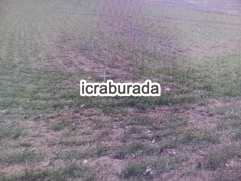 icralık  m2 Tarla Konya Seydişehir Tepecik