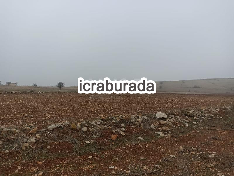 icralık  m2 Tarla Antalya Korkuteli Bozova/aşaği