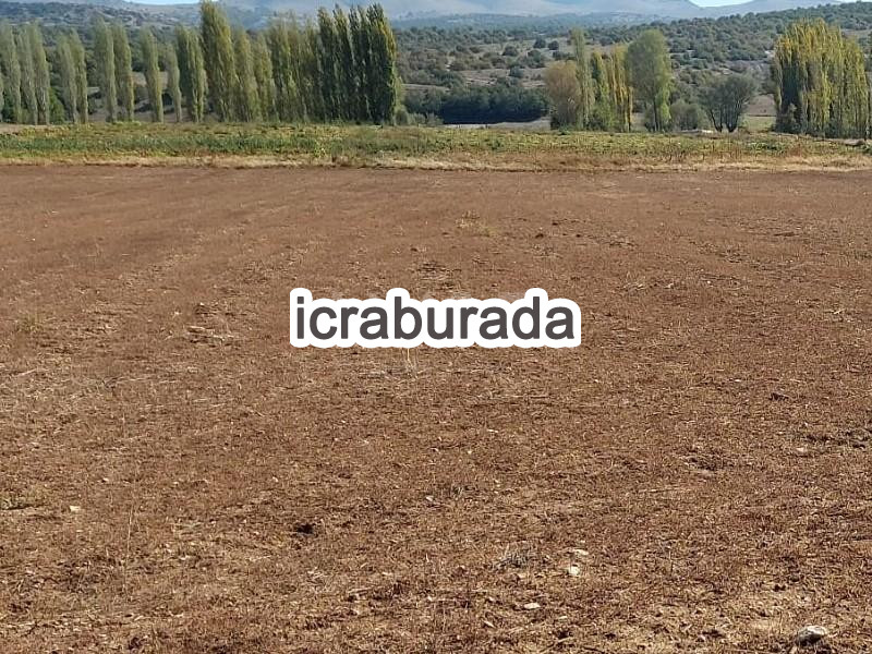 icralık  m2 Tarla Afyonkarahisar İhsaniye Yaylabaği