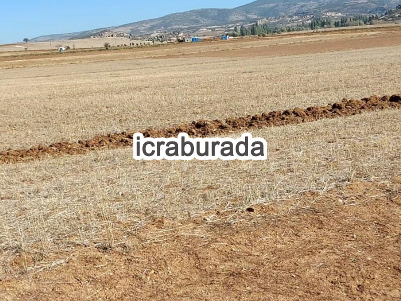 icralık  m2 Tarla Afyonkarahisar İhsaniye Yaylabaği