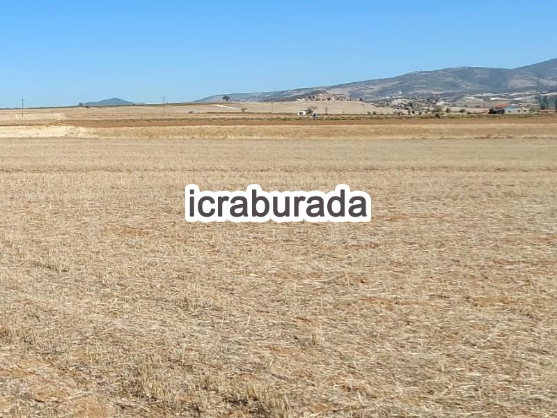 icralık  m2 Tarla Afyonkarahisar İhsaniye Yaylabaği