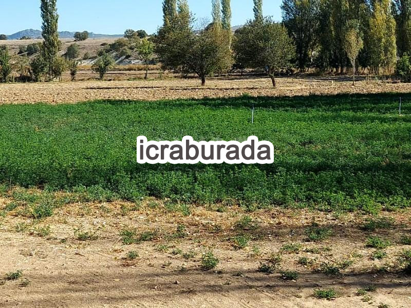 icralık  m2 Tarla Afyonkarahisar İhsaniye Yaylabaği