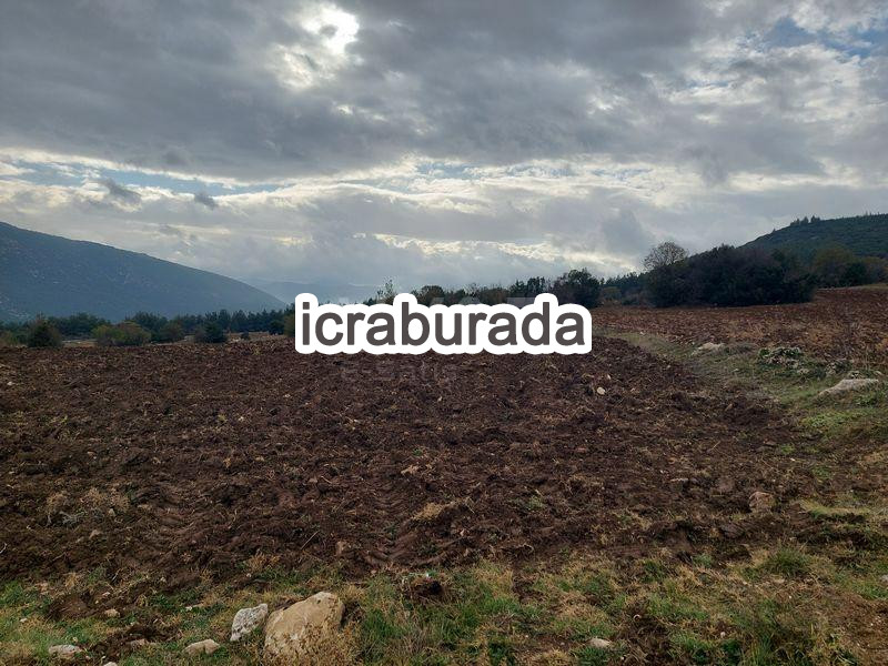icralık  m2 Tarla Burdur Bucak Seydiköy