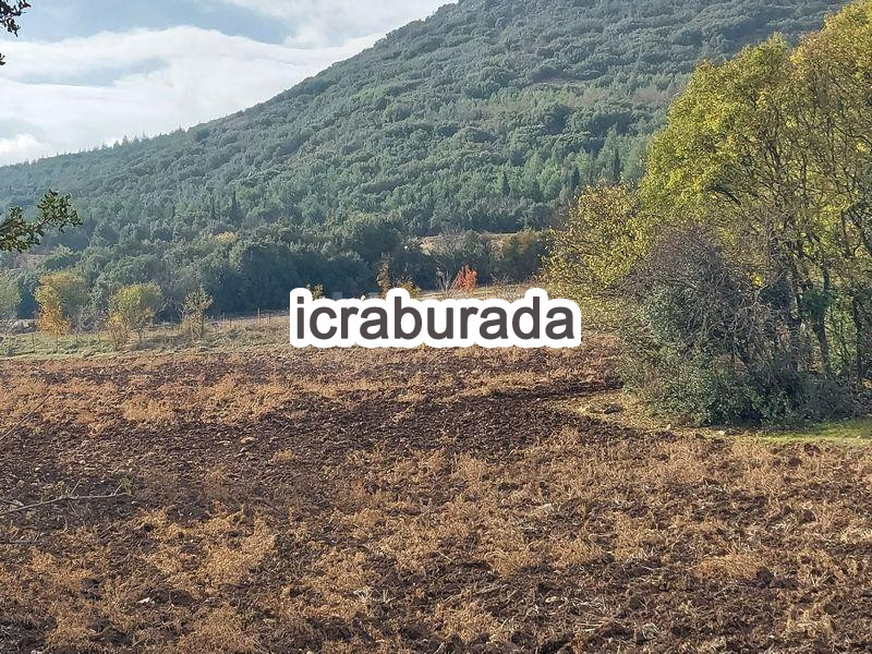 icralık  m2 Tarla Burdur Bucak Seydiköy