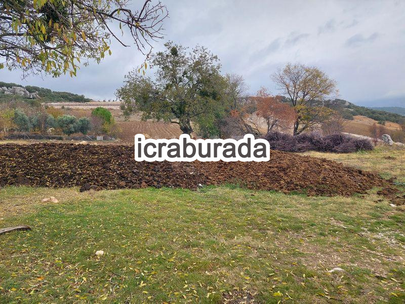 icralık  m2 Tarla Burdur Bucak Seydiköy