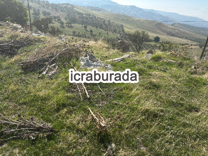 icralık  m2 Diger Manisa Köprübaşı Yabaci