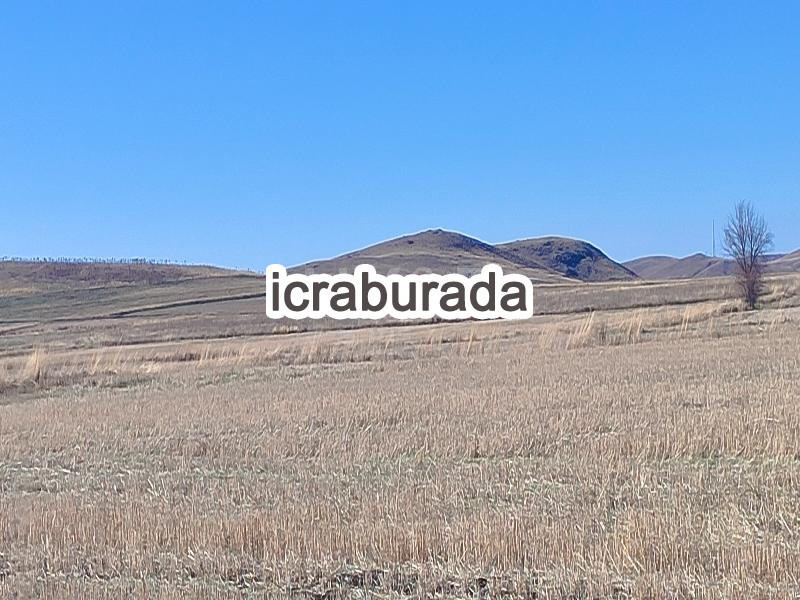 icralık  m2 Tarla Yozgat Akdağmadeni Müşallikalesiçalişkan