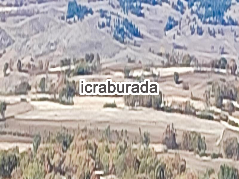 icralık  m2 Tarla Yozgat Akdağmadeni Müşallikalesiçalişkan