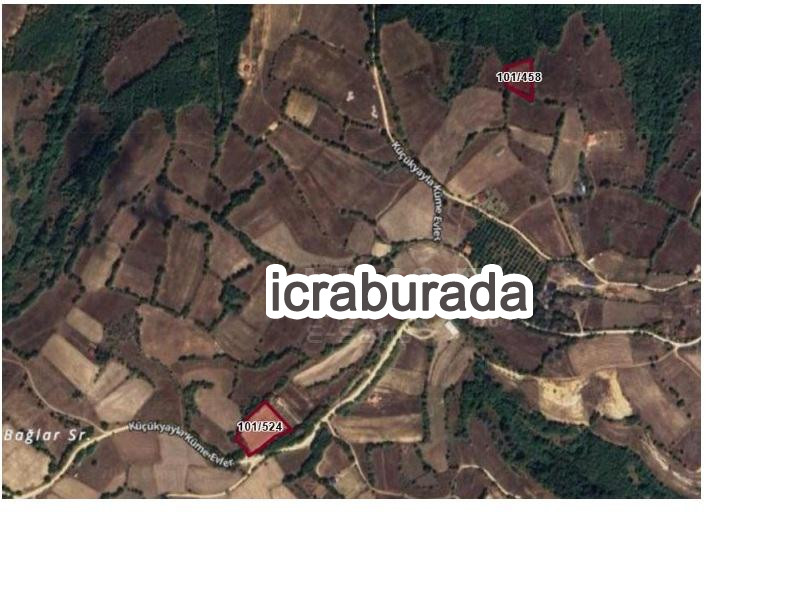 icralık  m2 Tarla Kırklareli Vize Küçükyayla