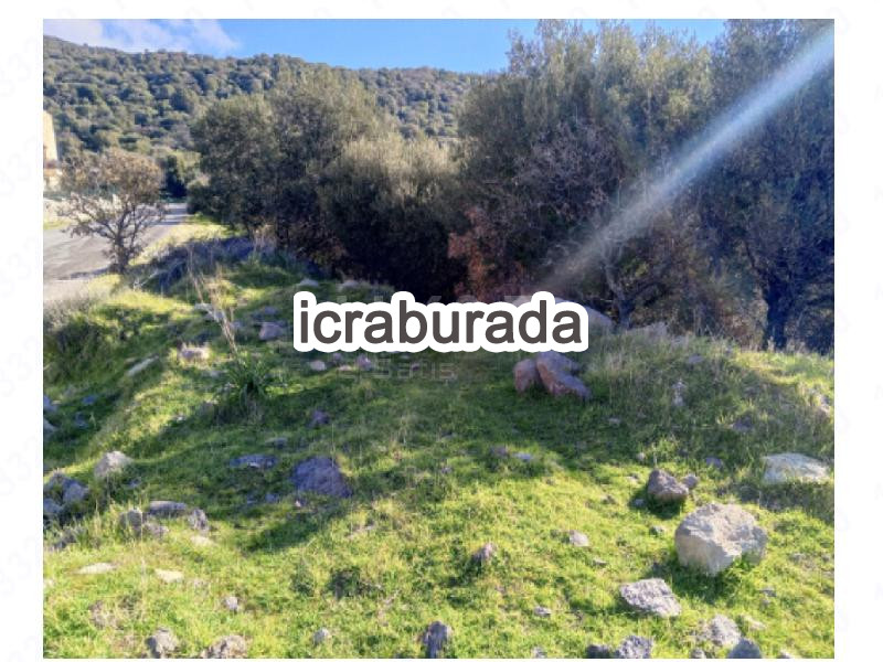 icralık  m2 Arsa İzmir Dikili Çandarli
