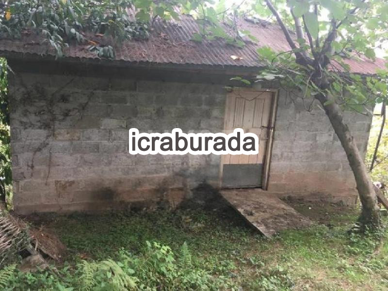 icralık  m2 Tarla Giresun Merkez Sarvan