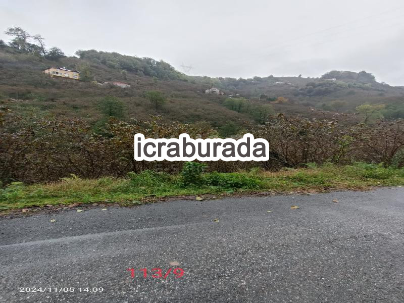 icralık  m2 Tarla Giresun Merkez Sarvan