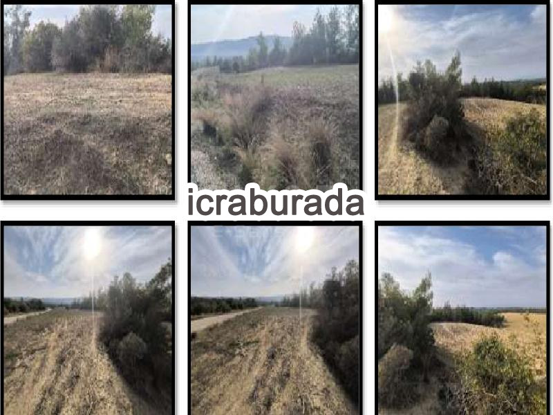 icralık  m2 Arsa Adana Çukurova Memişli