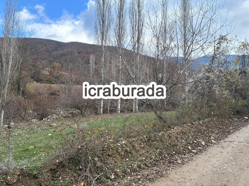 icralık  m2 Tarla Amasya Taşova Dereli