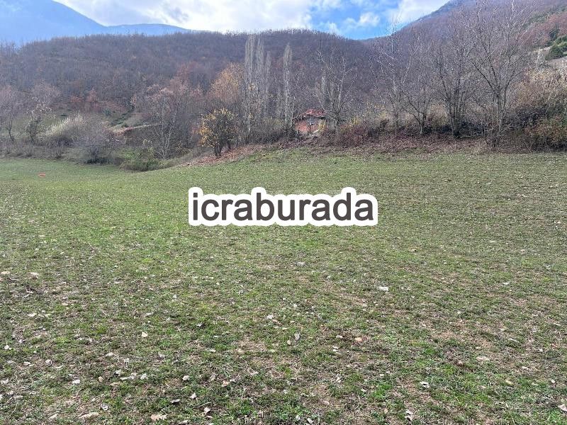 icralık  m2 Tarla Amasya Taşova Dereli