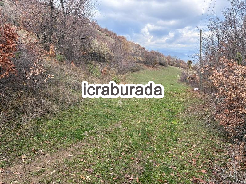 icralık  m2 Tarla Amasya Taşova Dereli