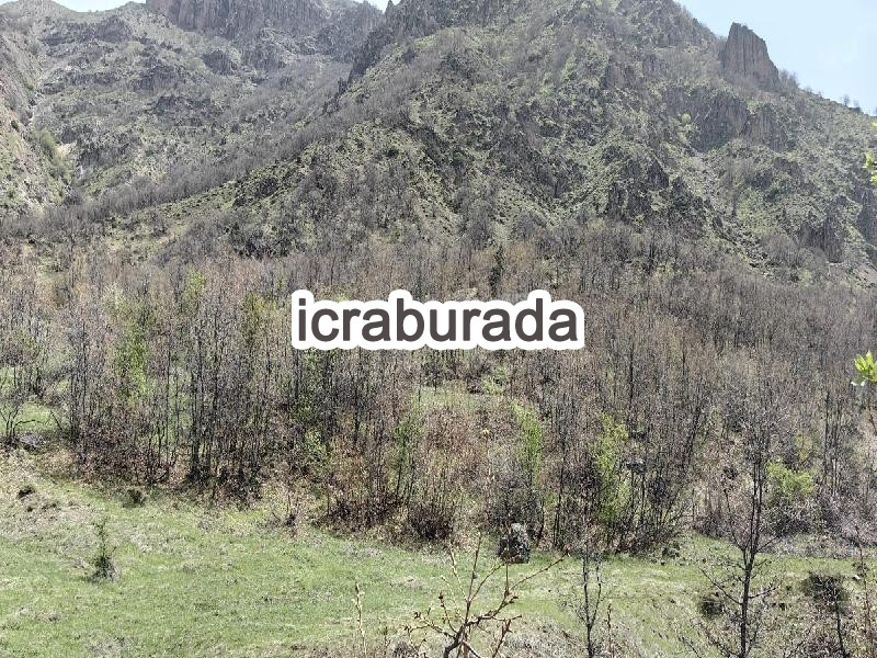 icralık  m2 Tarla Tunceli Mazgirt Kalayci