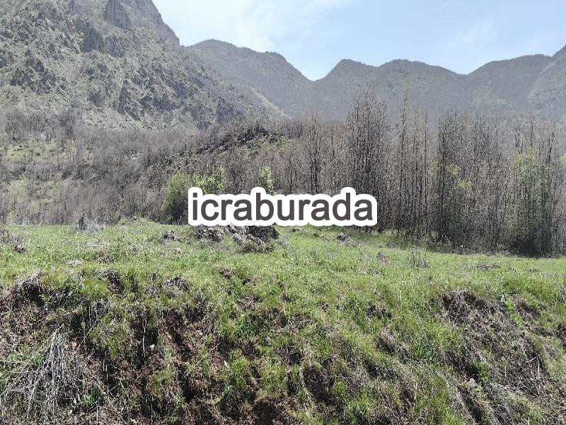 icralık  m2 Tarla Tunceli Mazgirt Kalayci