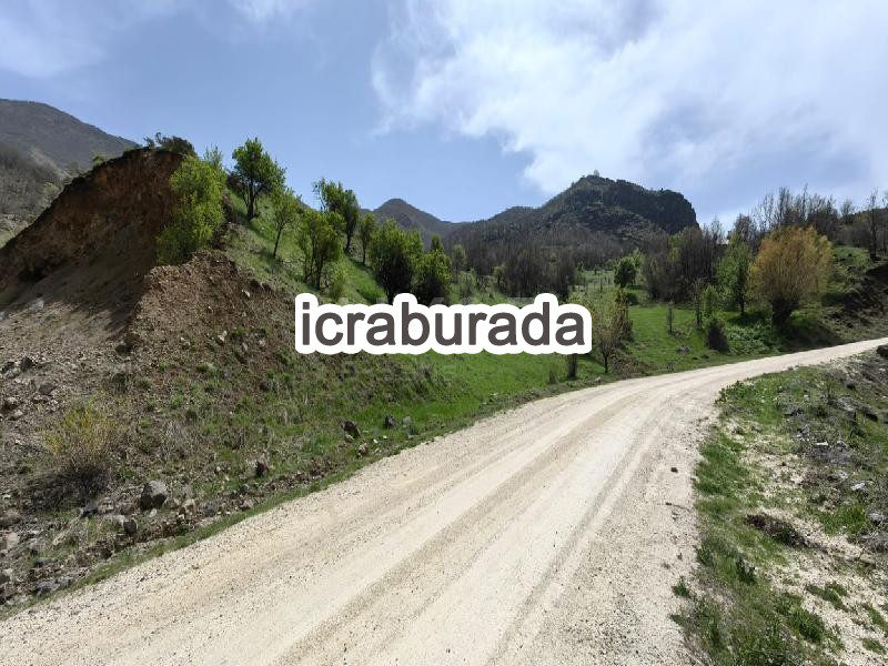 icralık  m2 Tarla Tunceli Mazgirt Kalayci