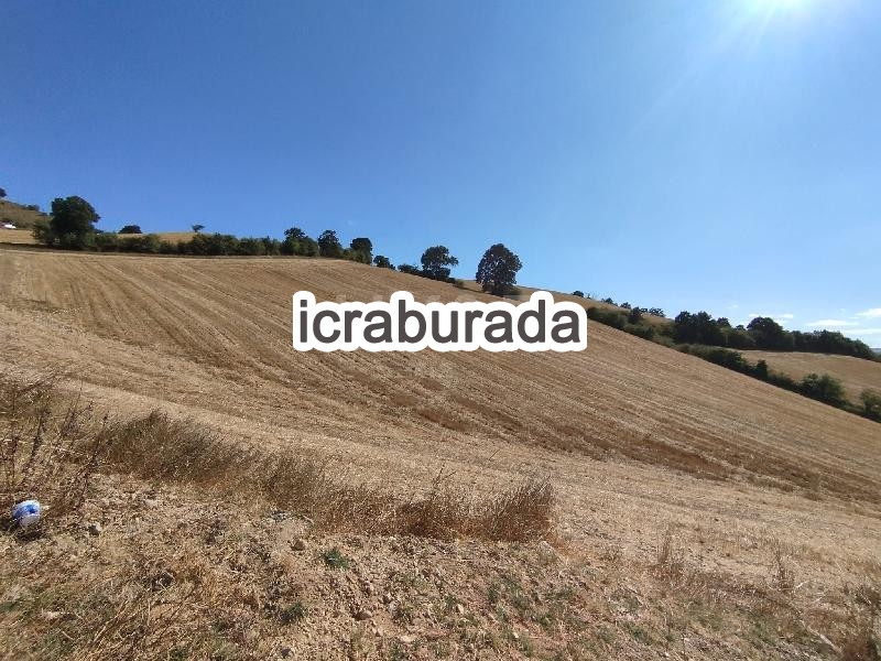 icralık  m2 Tarla Samsun Havza Boyalica
