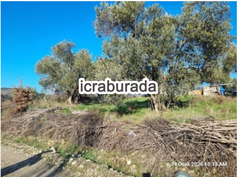 icralık  m2 Diger İzmir Bergama Kircalar