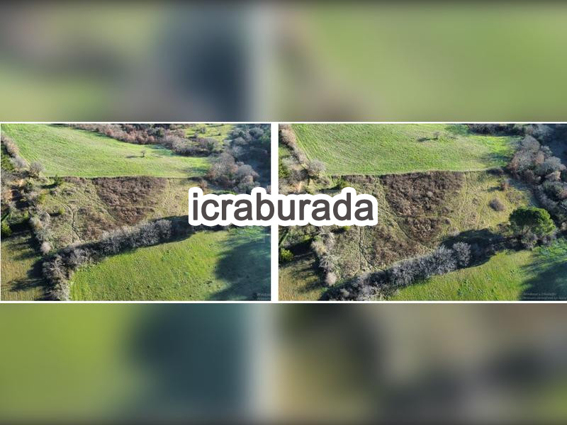 icralık  m2 Tarla İzmir Bergama Kircalar
