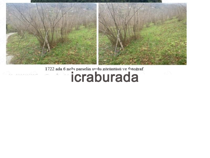 icralık  m2 Tarla Ordu Çamaş Söken
