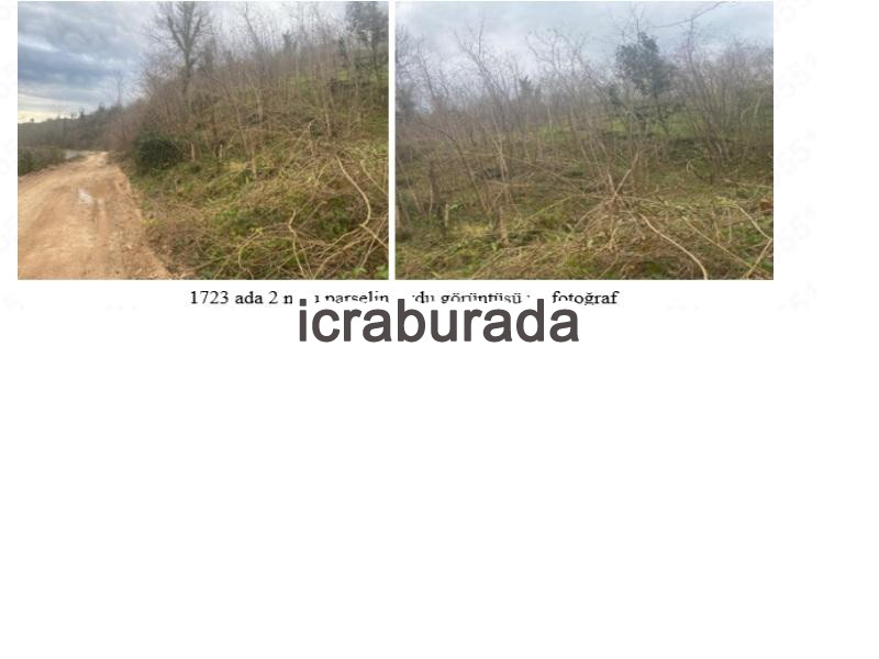 icralık  m2 Tarla Ordu Çamaş Söken