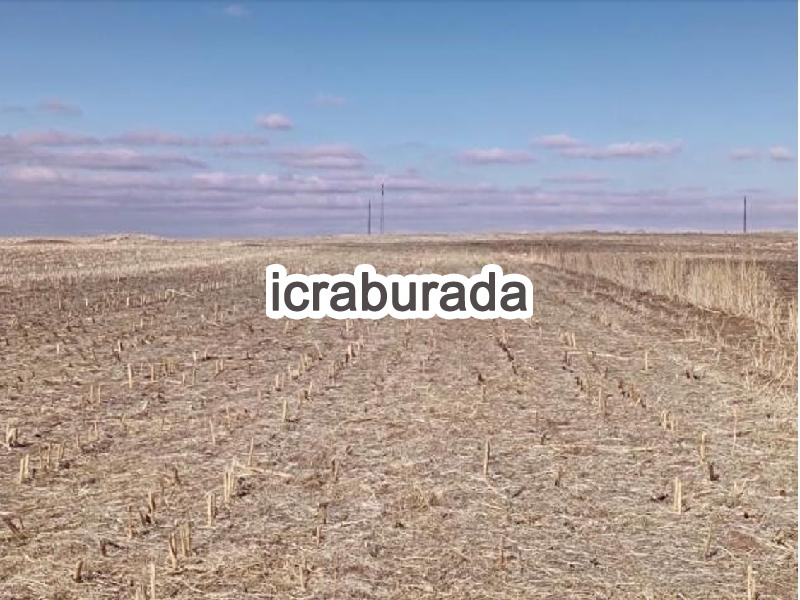icralık  m2 Tarla Niğde Merkez Edikli