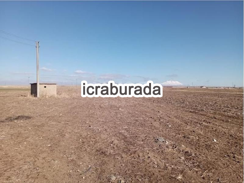 icralık  m2 Tarla Niğde Merkez Edikli