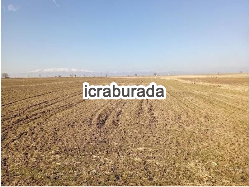 icralık  m2 Tarla Niğde Merkez Edikli