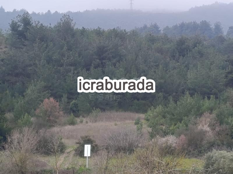 icralık  m2 Tarla Sakarya Geyve Çengel