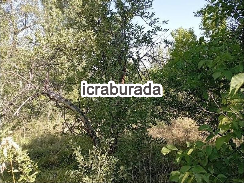 icralık  m2 Daire Niğde Merkez Gümüşler/yeni