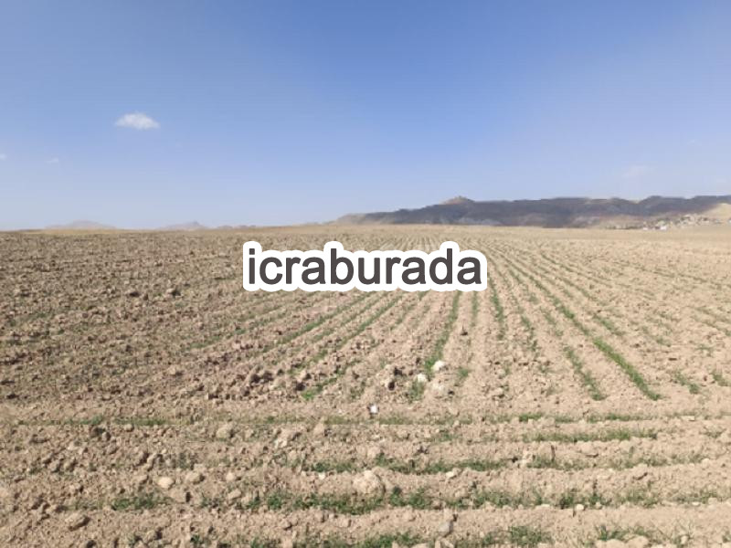 icralık  m2 Arsa Van Özalp Kargali